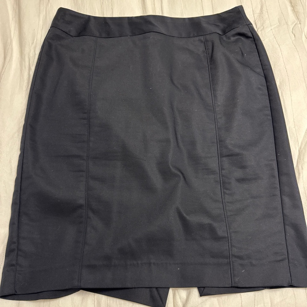 Lane Bryant skirt
